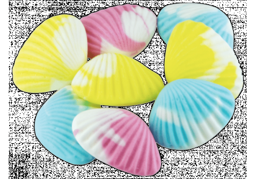 CONCHAS DO MAR  DAMEL 250 UDS